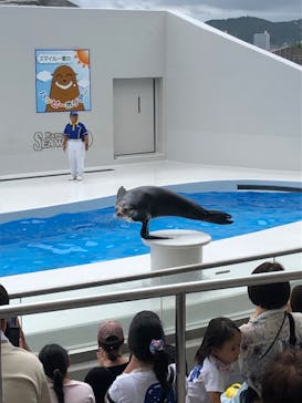 鴨川シーワールドに投稿された画像（2024/8/22）