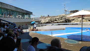 大分マリーンパレス水族館 「うみたまご」に投稿された画像（2024/8/22）