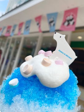 恩賜上野動物園に投稿された画像（2024/8/22）