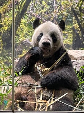 恩賜上野動物園に投稿された画像（2024/8/22）