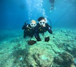 沖縄マリンサービス碧に投稿された画像（2024/8/22）