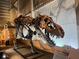巨大恐竜展2024に投稿された画像（2024/8/22）
