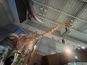 巨大恐竜展2024に投稿された画像（2024/8/22）