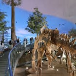 福井県立恐竜博物館に投稿された画像（2024/8/22）