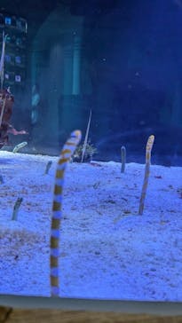 名古屋港水族館に投稿された画像（2024/8/22）