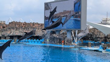 名古屋港水族館に投稿された画像（2024/8/22）