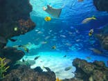 サンシャイン水族館に投稿された画像（2024/8/22）