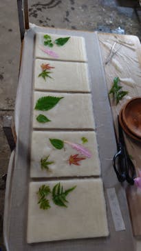 修善寺紙谷和紙工房に投稿された画像（2024/8/22）