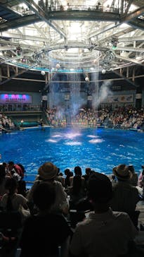 マクセル アクアパーク品川に投稿された画像（2024/8/22）