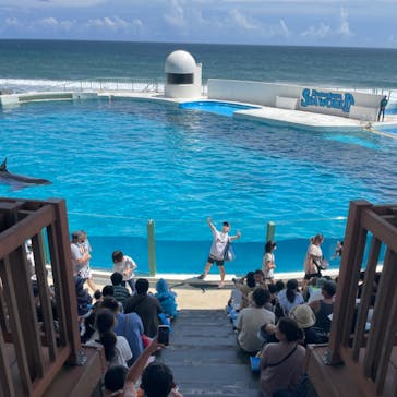 鴨川シーワールドに投稿された画像（2024/8/22）