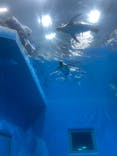 越前松島水族館に投稿された画像（2024/8/22）