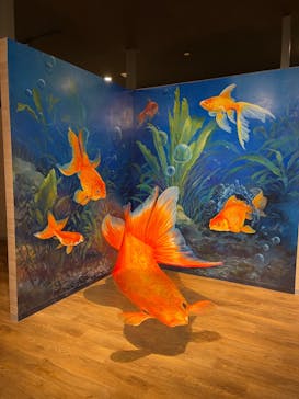 NARA KINGYO MUSEUMに投稿された画像（2024/8/22）