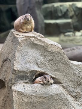 神戸どうぶつ王国に投稿された画像（2024/8/22）