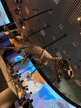 国立科学博物館に投稿された画像（2024/8/22）
