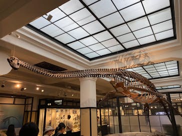 国立科学博物館に投稿された画像（2024/8/22）