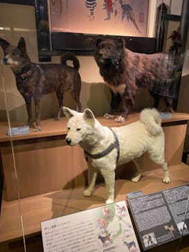 国立科学博物館に投稿された画像（2024/8/22）