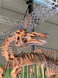巨大恐竜展2024に投稿された画像（2024/8/22）
