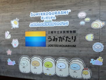 上越市立水族博物館 うみがたりに投稿された画像（2024/8/22）