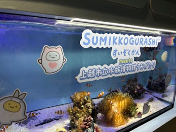 上越市立水族博物館 うみがたりに投稿された画像（2024/8/22）