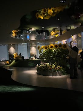 サンシャイン60展望台に投稿された画像（2024/8/22）