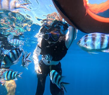 マリンクラブジジに投稿された画像（2024/8/22）