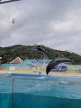 下田海中水族館に投稿された画像（2024/8/22）