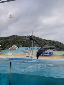 下田海中水族館に投稿された画像（2024/8/22）