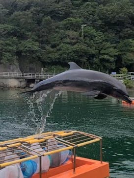 下田海中水族館に投稿された画像（2024/8/22）