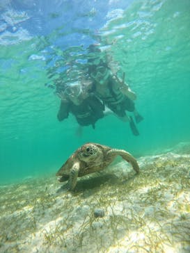 nico 宮古島に投稿された画像（2024/8/22）