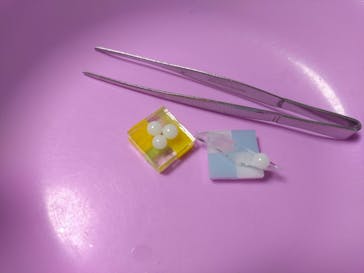 Glass Art Milky Way（グラスアートミルキーウェイ）に投稿された画像（2024/8/22）