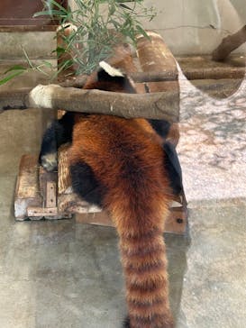 長崎バイオパークに投稿された画像（2024/8/22）