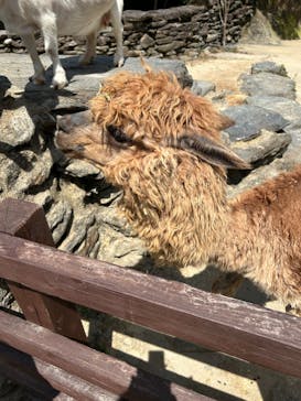 長崎バイオパークに投稿された画像（2024/8/22）