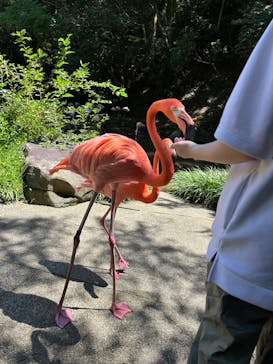 長崎バイオパークに投稿された画像（2024/8/22）