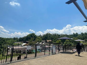  ハーベストの丘に投稿された画像（2024/8/22）