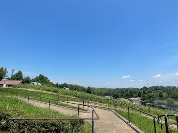  ハーベストの丘に投稿された画像（2024/8/22）