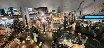 福井県立恐竜博物館に投稿された画像（2024/8/22）