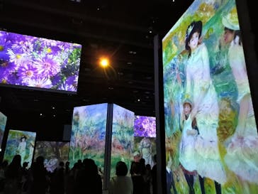 モネ＆フレンズ・アライブに投稿された画像（2024/8/22）