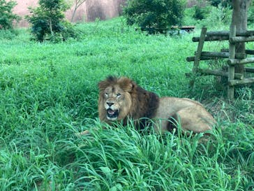 多摩動物公園に投稿された画像（2024/8/22）