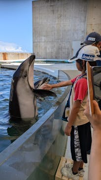 城崎マリンワールドに投稿された画像（2024/8/22）