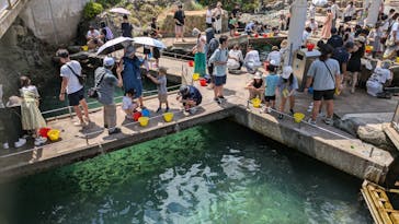 城崎マリンワールドに投稿された画像（2024/8/22）