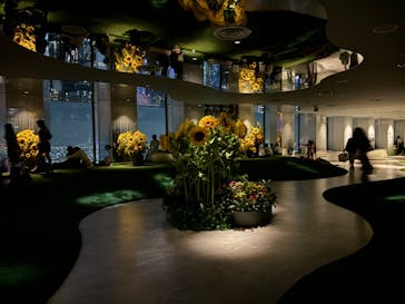 サンシャイン60展望台に投稿された画像（2024/8/22）