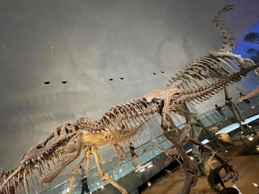 福井県立恐竜博物館に投稿された画像（2024/8/22）