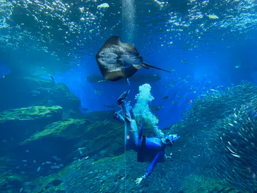 仙台うみの杜水族館に投稿された画像（2024/8/22）