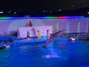 仙台うみの杜水族館に投稿された画像（2024/8/22）