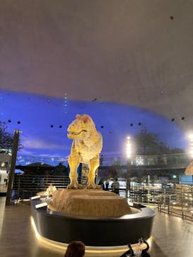 福井県立恐竜博物館に投稿された画像（2024/8/22）