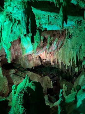 あぶくま洞に投稿された画像（2024/8/22）