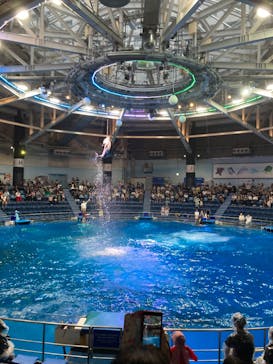 マクセル アクアパーク品川に投稿された画像（2024/8/22）