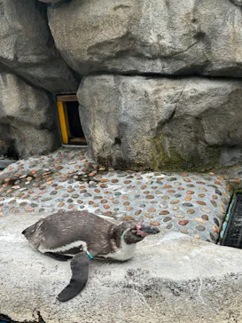 仙台うみの杜水族館に投稿された画像（2024/8/22）