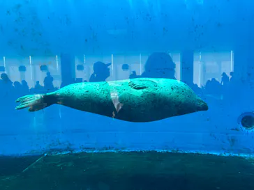 仙台うみの杜水族館に投稿された画像（2024/8/22）