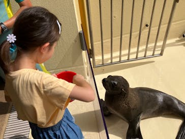 新江ノ島水族館に投稿された画像（2024/8/22）